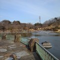 写真: 那須野が原公園の池の岸辺（1月23日）