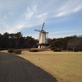 写真: 那須野が原公園の風車のある広場（1月23日）