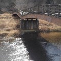 Photos: 川崎城跡公園の橋と川（3月6日）