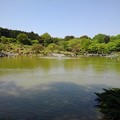 那須野が原公園の池の眺め（5月5日）