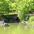 写真: 那須野が原公園の遠くに見える池の橋（5月5日）