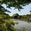 那須野が原公園の木々の隙間から見える池（5月5日）