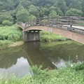 木製の橋と緑の多い景色（8月7日）