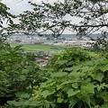 写真: 川崎城跡の丘の上からの眺め（8月7日）