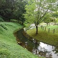写真: 川崎城跡の緑と小川の景色（8月7日）