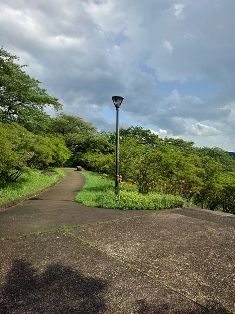 写真: 長峰公園の丘の街灯と歩道（7月23日）