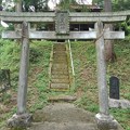 写真: 川崎城跡の丘の鳥居（8月7日）