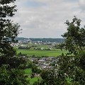 写真: 川崎城跡の丘から見えた田園地帯（8月7日）