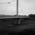 写真: ゆうゆうパークの白い陸橋（8月18日）