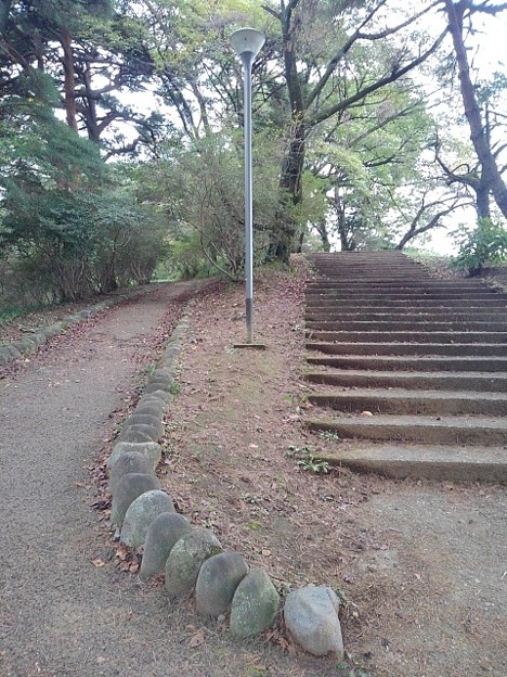 Photos: 烏ヶ森公園の丘の街灯と階段（10月9日）