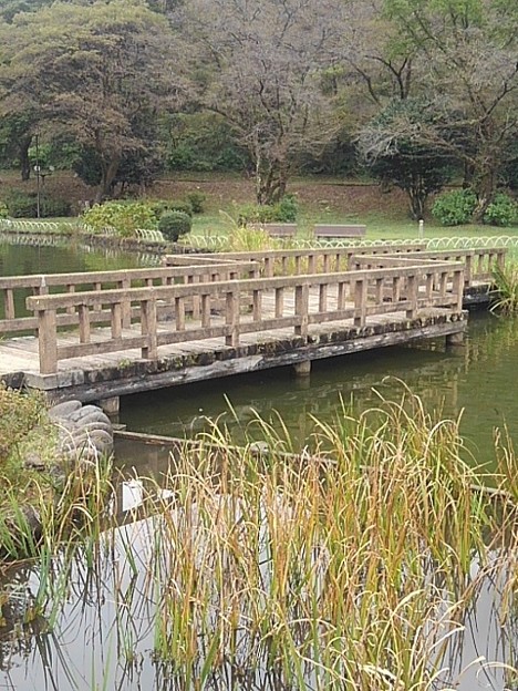 Photos: 烏ヶ森公園の池の橋（10月9日）