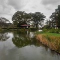 Photos: 烏ヶ森公園の橋の上から見えた池の景色（10月9日）