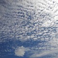 写真: 鱗雲（9月21日）