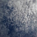 写真: 鱗雲（9月22日）