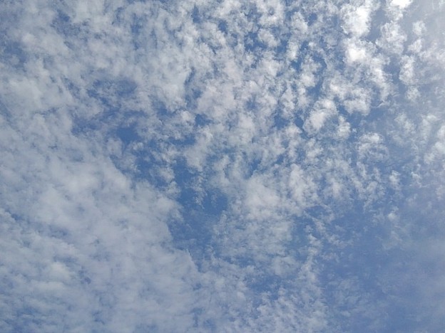 写真: 淡い青空と鱗雲（9月22日）