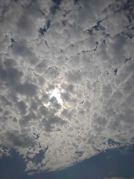 写真: 鱗雲（9月27日）