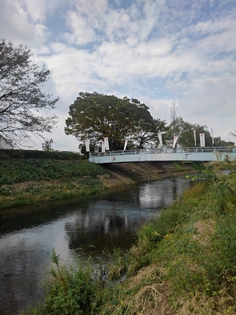 Photos: 市役所近くの川と橋（9月27日）