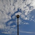 写真: 街灯と鱗雲（9月28日）