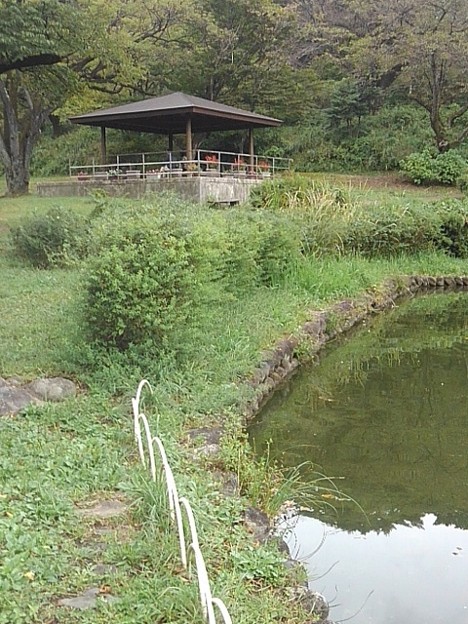 烏ヶ森公園の池の岸辺と奥に見える休憩所（10月9日）