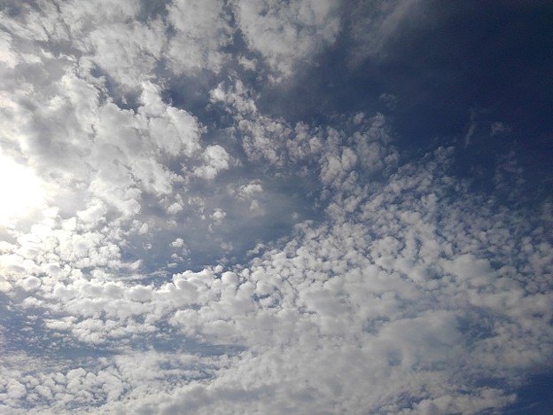 写真: 細かい鱗雲（10月21日）