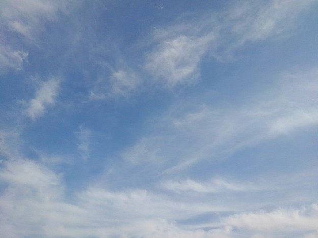 写真: 薄い雲もある空（10月23日）