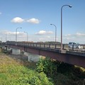 Photos: 道路橋（11月12日）