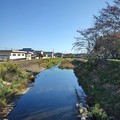Photos: 秋晴れに染まる川（11月2日）