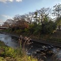 Photos: 飛び石もある川（11月7日）