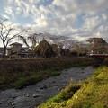 Photos: 空が綺麗な川（11月7日）