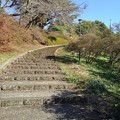 写真: 長峰公園のカーブが綺麗な階段（11月6日）