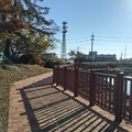 Photos: 長峰公園の池の岸辺の道（11月6日）