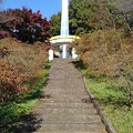 Photos: 長峰公園の丘の階段の奥から見えるシンボルタワー（11月6日）
