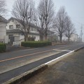写真: 霧のある道路（11月22日）