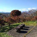 写真: 長峰公園の丘の石のベンチ（11月6日）