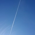飛行機雲（11月22日）