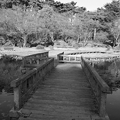 烏ヶ森公園の池の橋・モノクロ（11月18日）