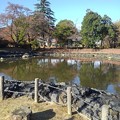 写真: 長峰公園の池の岸辺の柵（11月6日）
