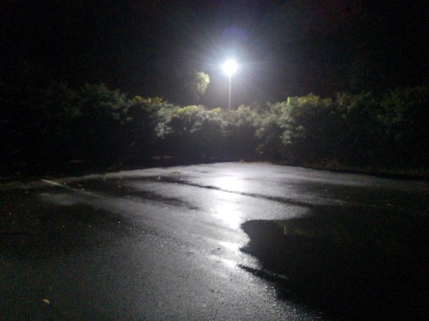 写真: 濡れた路面を照らす街灯（12月13日）