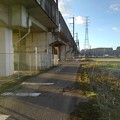 Photos: 新幹線のガードもある道（12月8日）