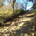 Photos: 烏ヶ森公園の丘の上り階段（11月18日）