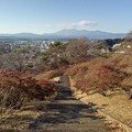 Photos: 長峰公園の丘の上の階段からの眺め（12月10日）