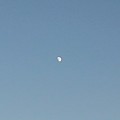 写真: 白い月（12月3日）