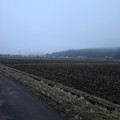 Photos: 霧の田園地帯（12月14日）