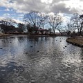 烏ヶ森公園の綺麗な池（1月3日）