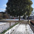 Photos: 雪が残る道（1月28日）