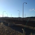 Photos: 道路橋（1月11日）