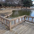 Photos: 烏ヶ森公園の池の橋から（1月3日）