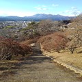写真: 長峰公園の丘の頂上の階段から見えた高原山（1月1日）