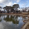 Photos: 烏ヶ森公園の緩やかなカーブの岸辺からの景色（1月3日）