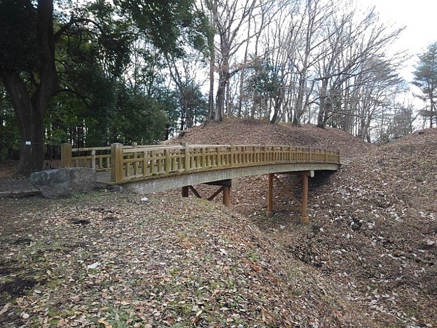 ゆうゆうパークの木製の橋（1月2日）